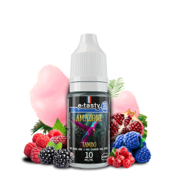 TAMBO 10ML - SELS DE NICOTINE